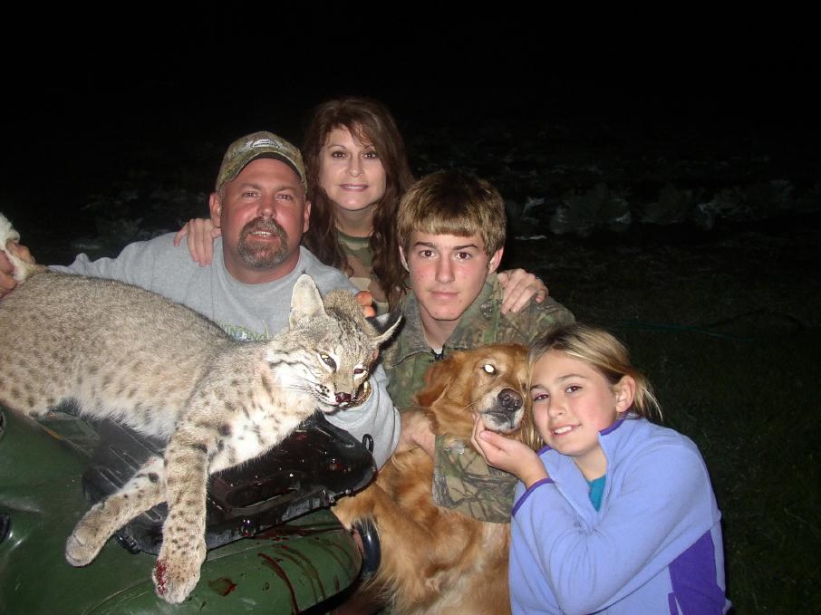 Bobcat From the Tripod cover