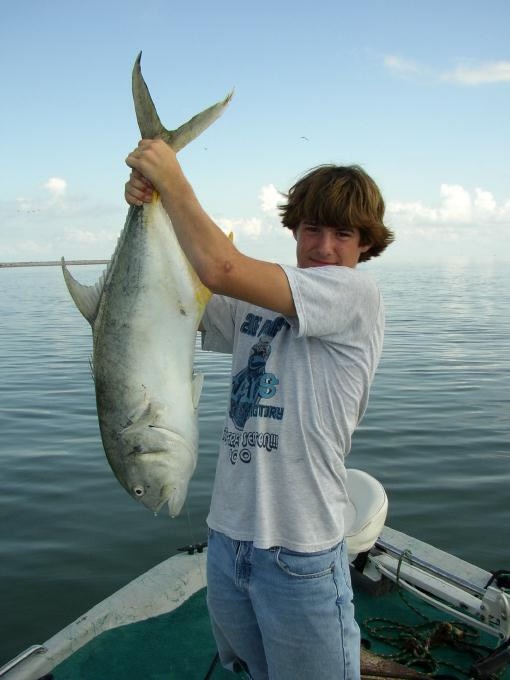 Unexpected Amberjack Adventure cover